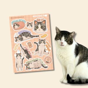 ANXIOUS CATS CLUB: BIAŁO-BURY KOTEK arkusz naklejek