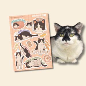 ANXIOUS CATS CLUB: KOTEK CZARNO-BIAŁY arkusz naklejek