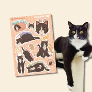 ANXIOUS CATS CLUB: KOTEK PINGWINEK arkusz naklejek