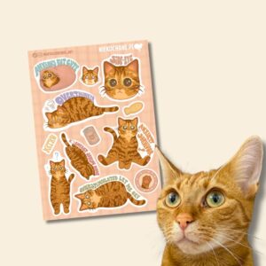 ANXIOUS CATS CLUB: KOTEK RUDY Z ZIELONYMI OCZAMI arkusz naklejek
