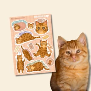 ANXIOUS CATS CLUB: KOTEK RUDY Z BURSZTYNOWYMI OCZAMI arkusz naklejek