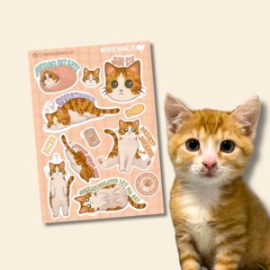 ANXIOUS CATS CLUB: KOTEK BIAŁO-RUDY Z ZIELONYMI OCZAMI arkusz naklejek