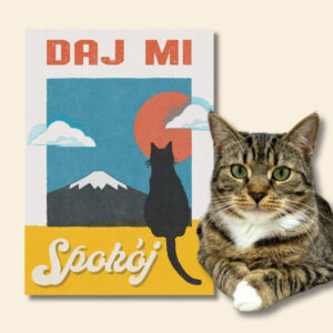 DAJ MI SPOKÓJ plakat