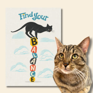 FIND YOUR BALANCE plakat