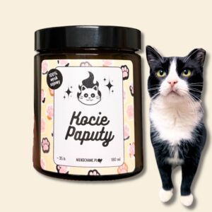 KOCIE PAPUTY świeczka