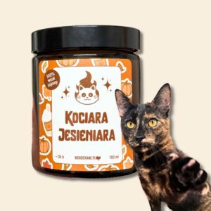 KOCIARA JESIENIARA świeczka